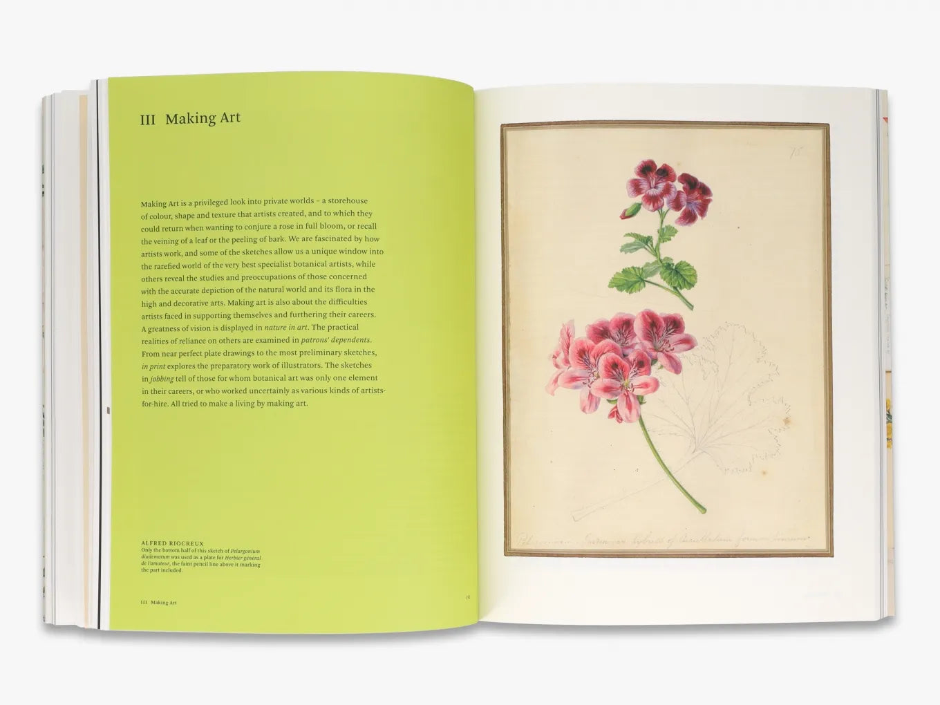 Botanical Sketchbooks