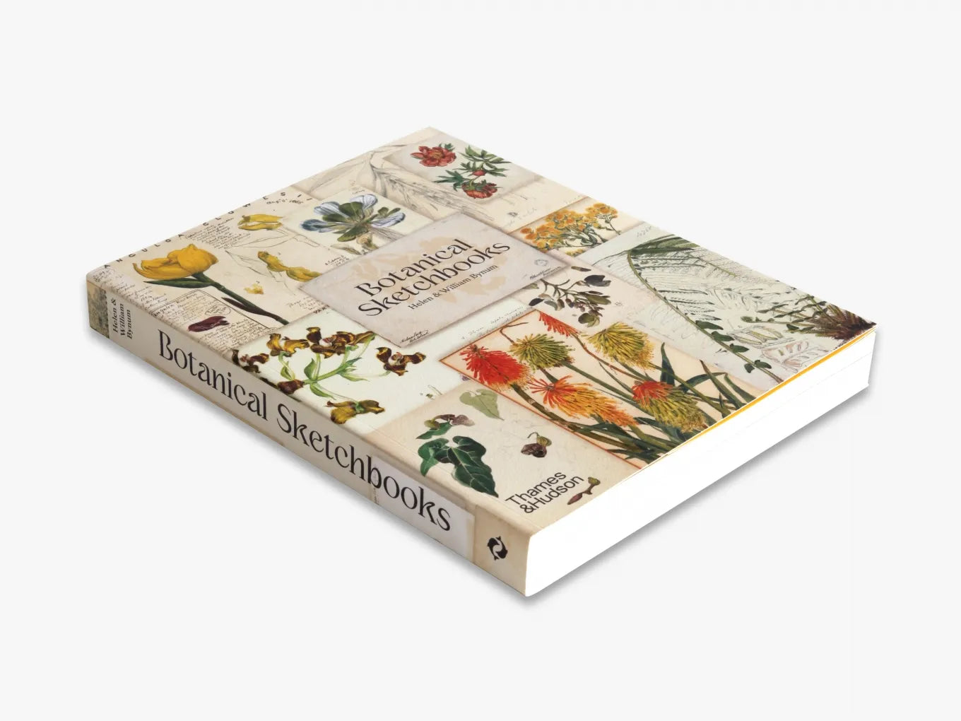 Botanical Sketchbooks