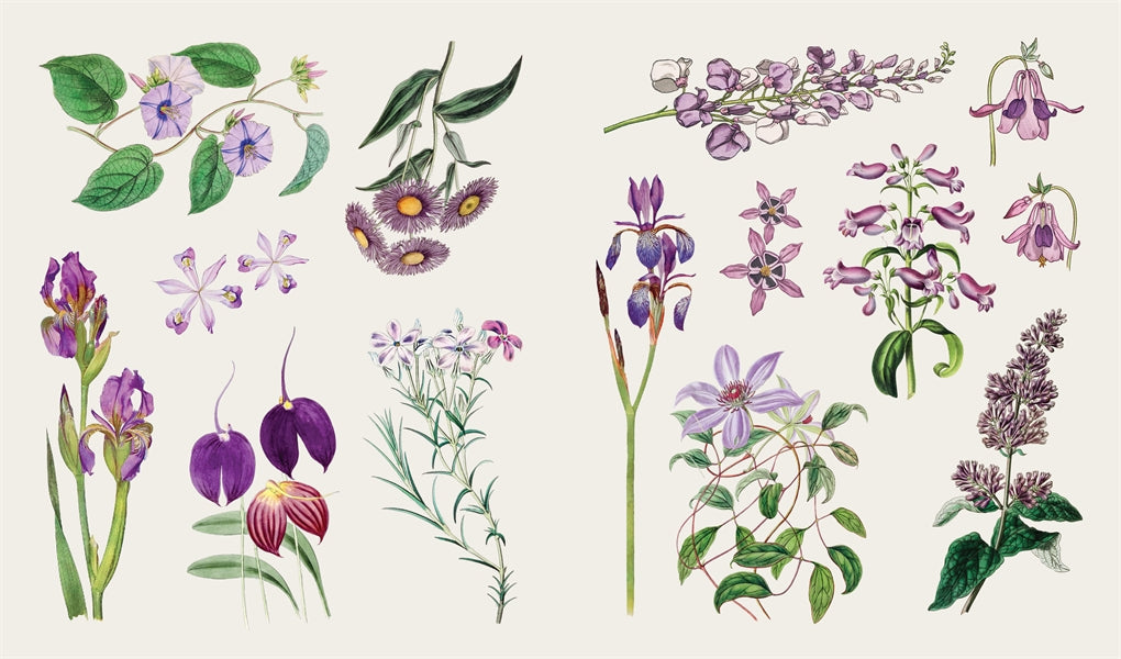 The Sticker Treasury of Blooms and Butterflies