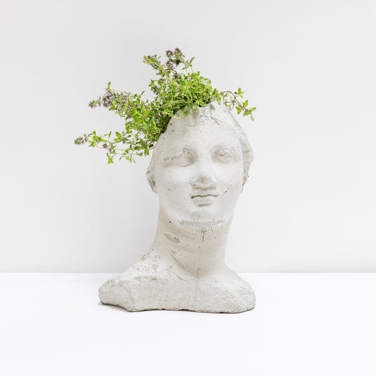 Head of Goddess Planter